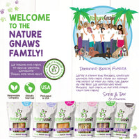 Nature Gnaws - Extra Thin Bully Sticks for Dogs - Premium Natural Beef Bones - Long Lasting Dog Chew Treats for Small Dogs & Puppies - Rawhide Free - 6 Inch 1 Count (Pack of 1)