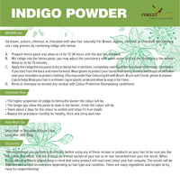 The Forest Herbs Natural Care from Nature Henna and Indigo Leaves Powder Combo (200gm Each) Total 400g | No Added Preservative and Additives | Non-GMO