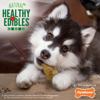 Nylabone Healthy Edibles Puppy Natural Long Lasting Dog Chew Treats Lamb & Apple Small/Regular (12 Count) 0.9166666666666666 Ounce (Pack of 12)