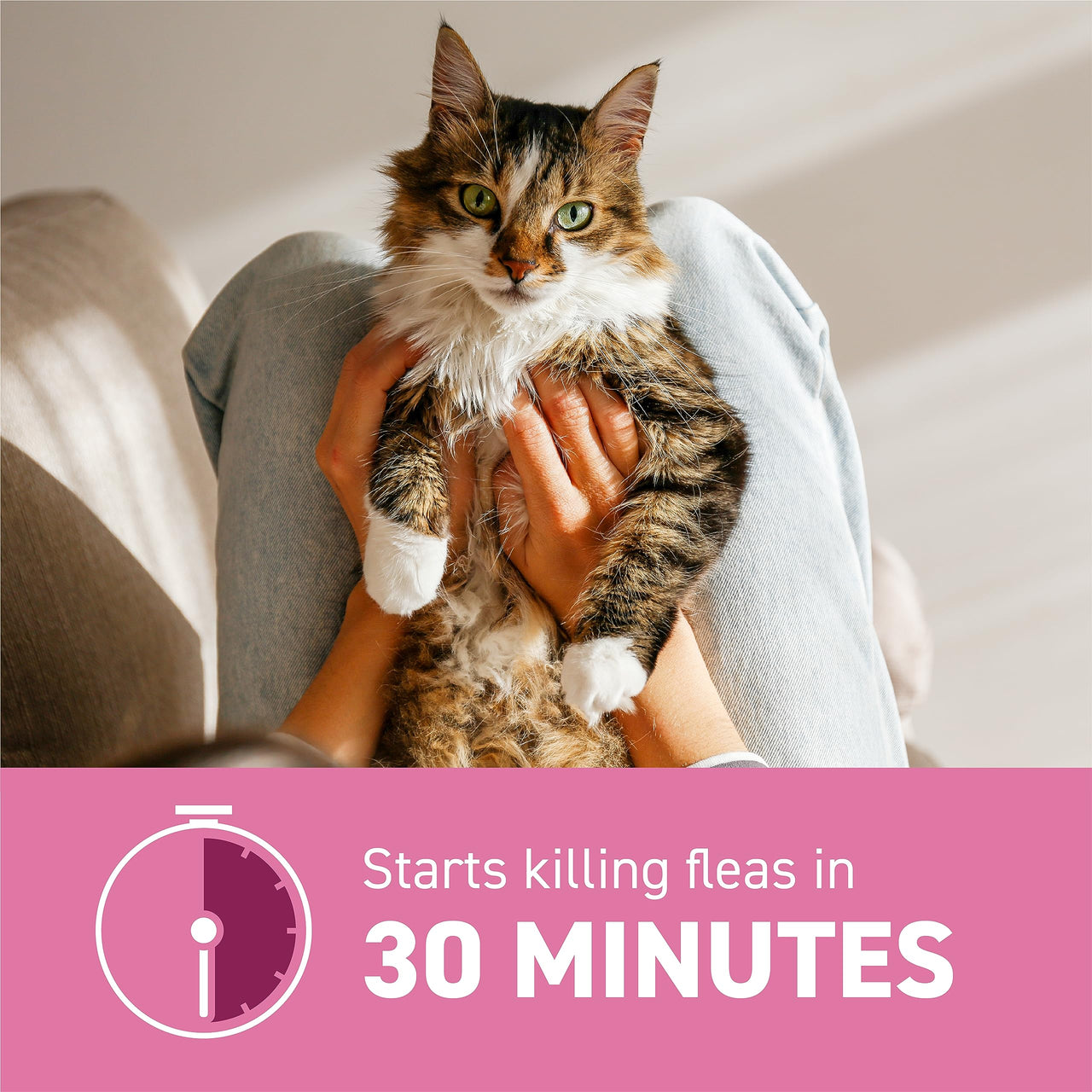 CAPSTAR (nitenpyram) Oral Flea Treatment for Cats, Fast Acting Tablets Start Killing Fleas in 30 Minutes, Cats 2-25 lbs, 12 Doses 12 Count