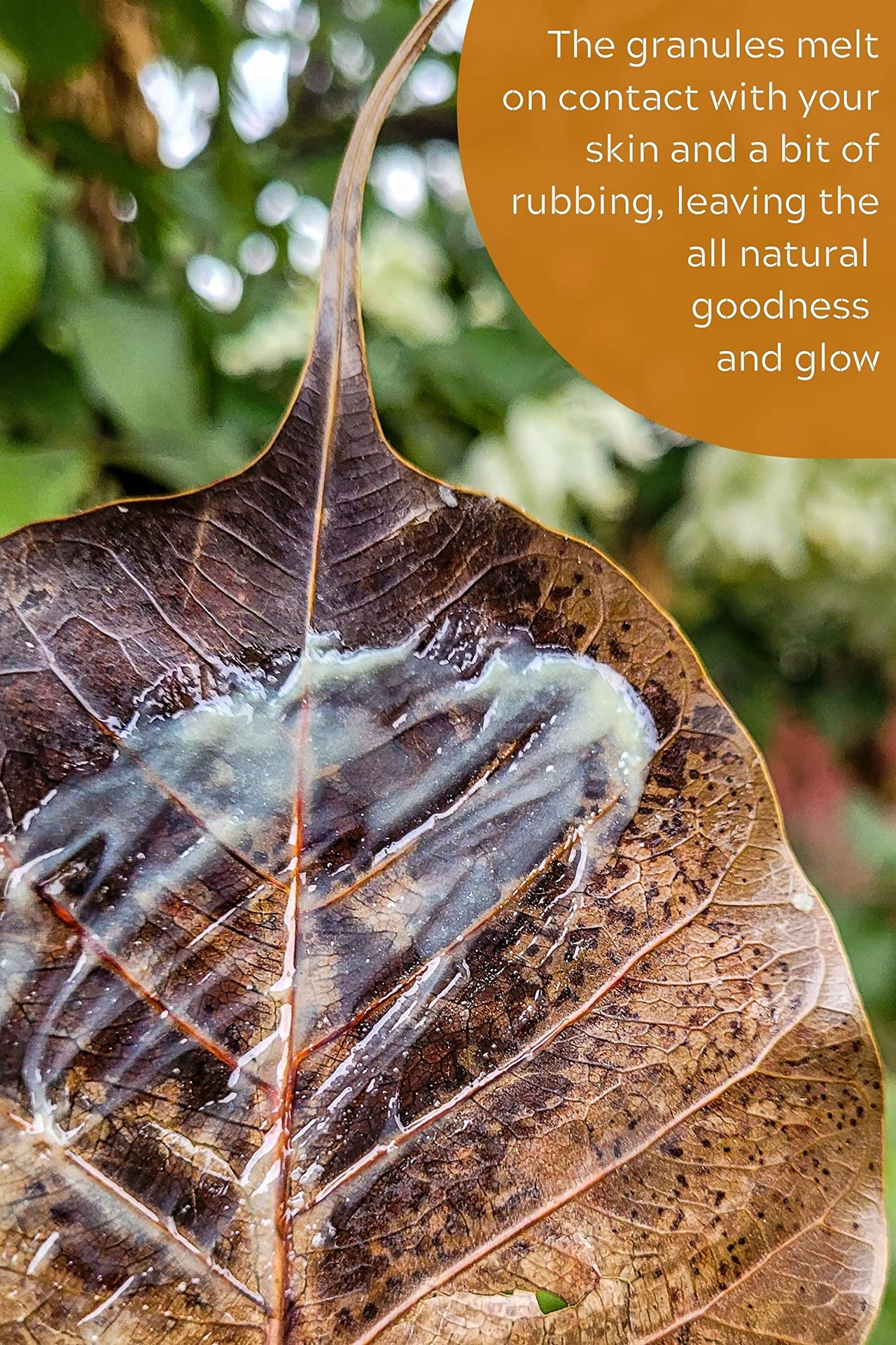The Nature Mill Shea Coconut Moisturizing Lip Balm, Shea Butter, Virgin Coconut Oil, Apricot Oil, Geranium Orange Essential Oils, all natural, to make dry lips soft 20G