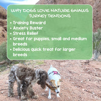Nature Gnaws USA Turkey Tendons for Dogs - Premium Natural Chew Treats - Delicious Reward Snack for Small Medium & Large Dogs - Made in The USA 4 oz Bag 1 Pound (Pack of 1)