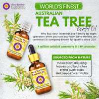 Deve Herbes Tea Tree Essential Oil (Melaleuca alternifolia) Pure | Non-Sticky | Non-greasy | Lightweight | Men & Women | All Skin Types | Steam Distilled 30ml