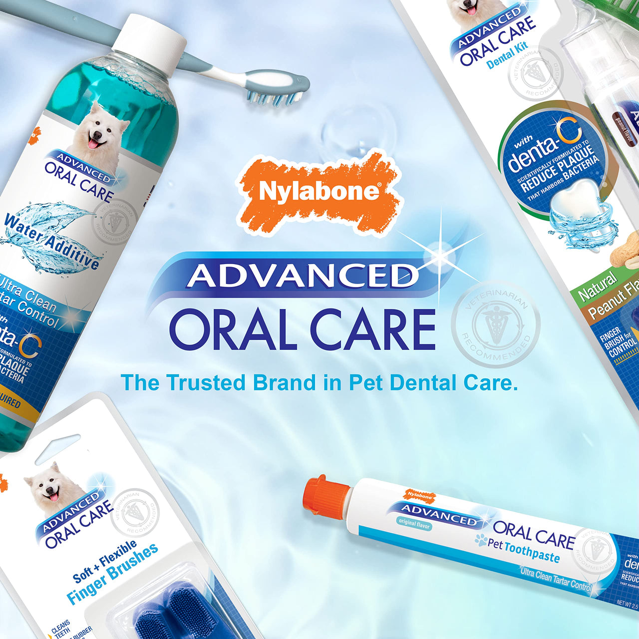 Nylabone Advanced Oral Care Puppy Dental Kit Puppy Original 3 Count 1 Count (Pack of 1)