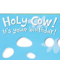 American Greetings Funny Birthday Card (Holy Cow) Holy Cow