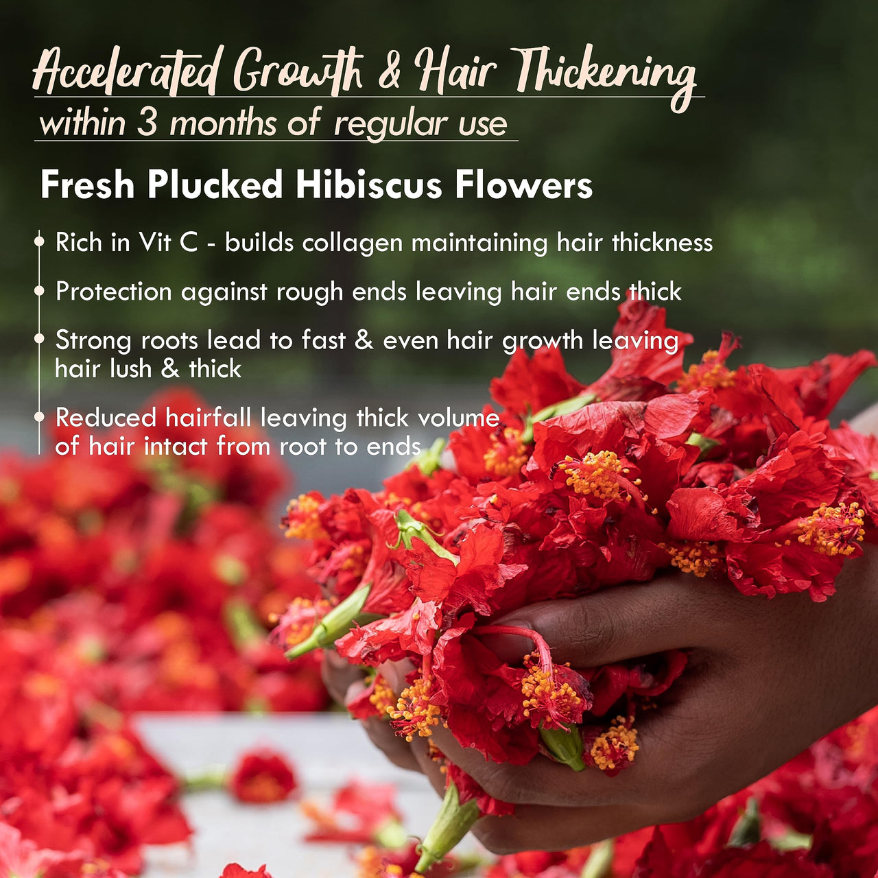 Nat Habit Fresh Ready-To-Apply Henna Paste & Five Oil Hibiscus Hair NutriMask - The Ideal Combo For Deep Conditioning Hair With Rich Dark Brown Color (Combo Pack of 4)