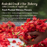 Nat Habit Fresh Ready-To-Apply Henna Paste & Five Oil Hibiscus Hair NutriMask - The Ideal Combo For Deep Conditioning Hair With Rich Dark Brown Color (Combo Pack of 4)