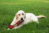 Pets First Dog Toy Tough Nylon with Inner Squeaker Licensed by NHL Washington Capitals Hockey Stick Toy for Dogs & Cats Play Hockey with Your Pet , 16 inch (Pack of 1) (CAP-3232) 16 inches long