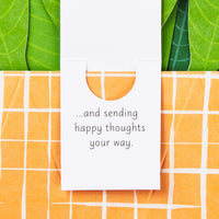 Hallmark Paper Wonder Pop Up Card (Potted Peace Lily) for Mother's  Day, Birthday, Administrative Professionals Day, Nurses Day, Thinking of You, Congrats, Get Well, or Any Occasion