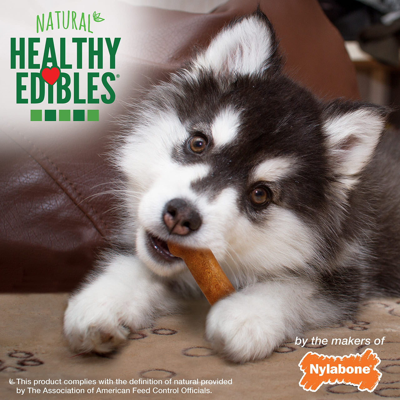Nylabone Healthy Edibles Natural Puppy Treats - Long-Lasting Dog Treats - Puppy Supplies - Turkey & Sweet Potato Flavor, X-Small/Petite (8 Count) 1 Count (Pack of 8)