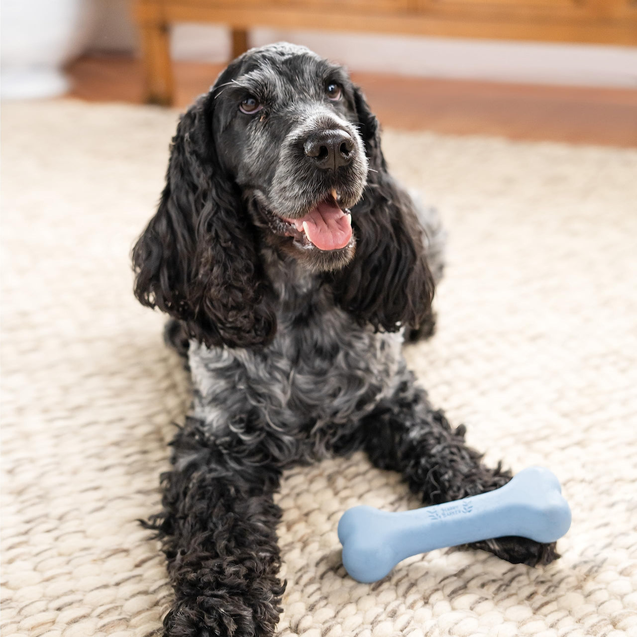Harry Barker Rubber Balls and Rubber Chew Stick, Rubber Bone for Dogs - Medium Bone