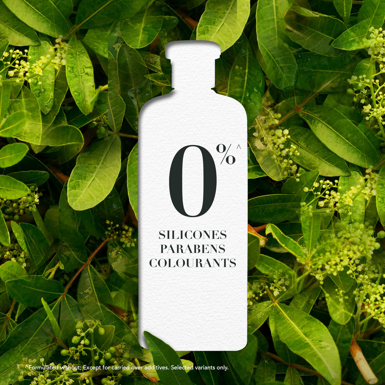 Herbal Essences bio:renew Rosemary and Herbs SHAMPOO, 400ml, No Parabens No Colourants