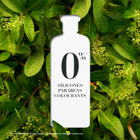 Herbal Essences bio:renew Rosemary and Herbs SHAMPOO, 400ml, No Parabens No Colourants