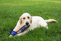 Pets First NHL New York Rangers Stick Toy for Dogs & Cats. Play Hockey with Your Pet with This Licensed Dog Tough Toy Reward!, 16 inches Long