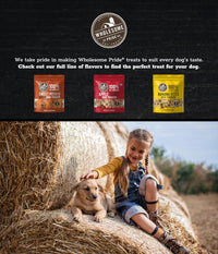 Wholesome Pride Sweet Potato Bites 100% All-Natural Single Ingredient Dog Treats, 16 oz 1 Pound (Pack of 1)