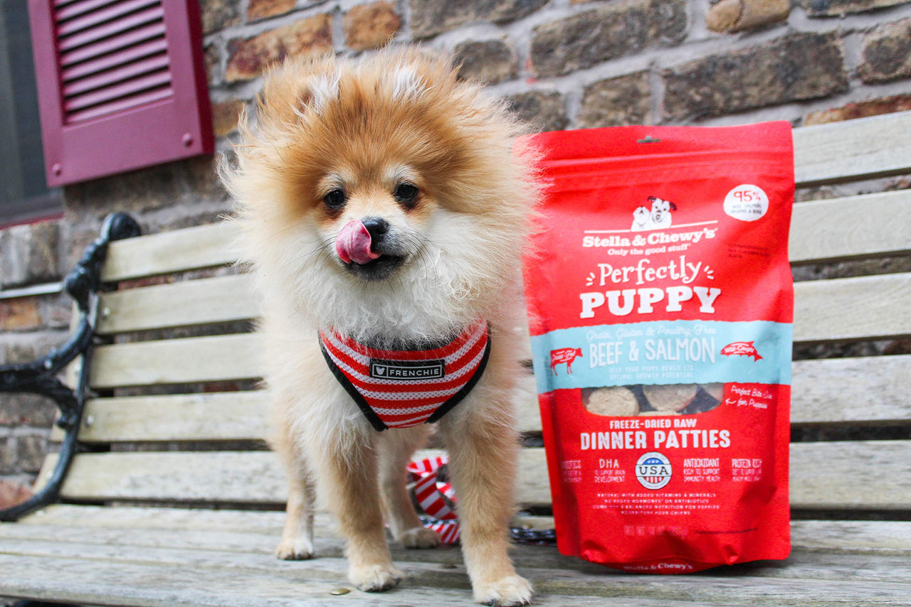 Stella & Chewy's  Freeze Dried Raw Dinner Patties – Crafted for Puppies – Grain Free, Protein Rich Perfectly Puppy Beef & Salmon Recipe – 5.5 oz Bag, Pack of 1 5.5 Ounce (Pack of 1)