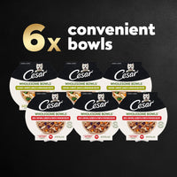 CESAR WHOLESOME BOWLS Adult Soft Wet Dog Food, Chicken, Carrots, Barley & Green Beans Recipe and Beef, Chicken, Purple Potatoes & Carrots Recipe Variety Pack, 3oz., Pack of 6
