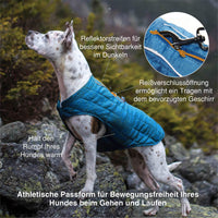 Kurgo Loft Dog Jacket, Reversible Dog Coat, Wear with Harness or Sweater, Water Resistant, Reflective, Winter Coat For Small Dogs (Deep Violet, XS) Extra Small Deep Violet/Charcoal