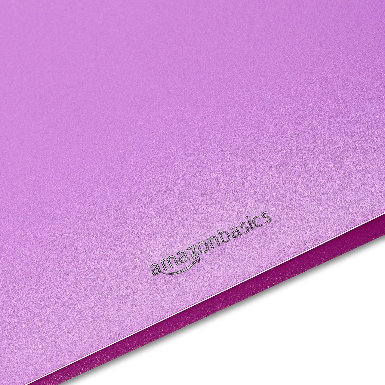 Basics Plastic 3 Hole Punch Folders with 2 Pockets, 8.5 x 11 inches, Pack of 12, Assorted Color
