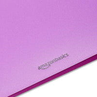 Basics Plastic 3 Hole Punch Folders with 2 Pockets, 8.5 x 11 inches, Pack of 12, Assorted Color