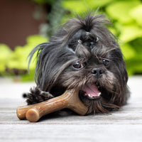 Benebone Maplestick Durable Dog Chew Toy for Aggressive Chewers, Real Maplewood, Made in USA, Small REAL Maple Wood