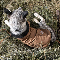 Carhartt Firm Duck Insulated Dog Chore Coat Army Green/Brass, Small