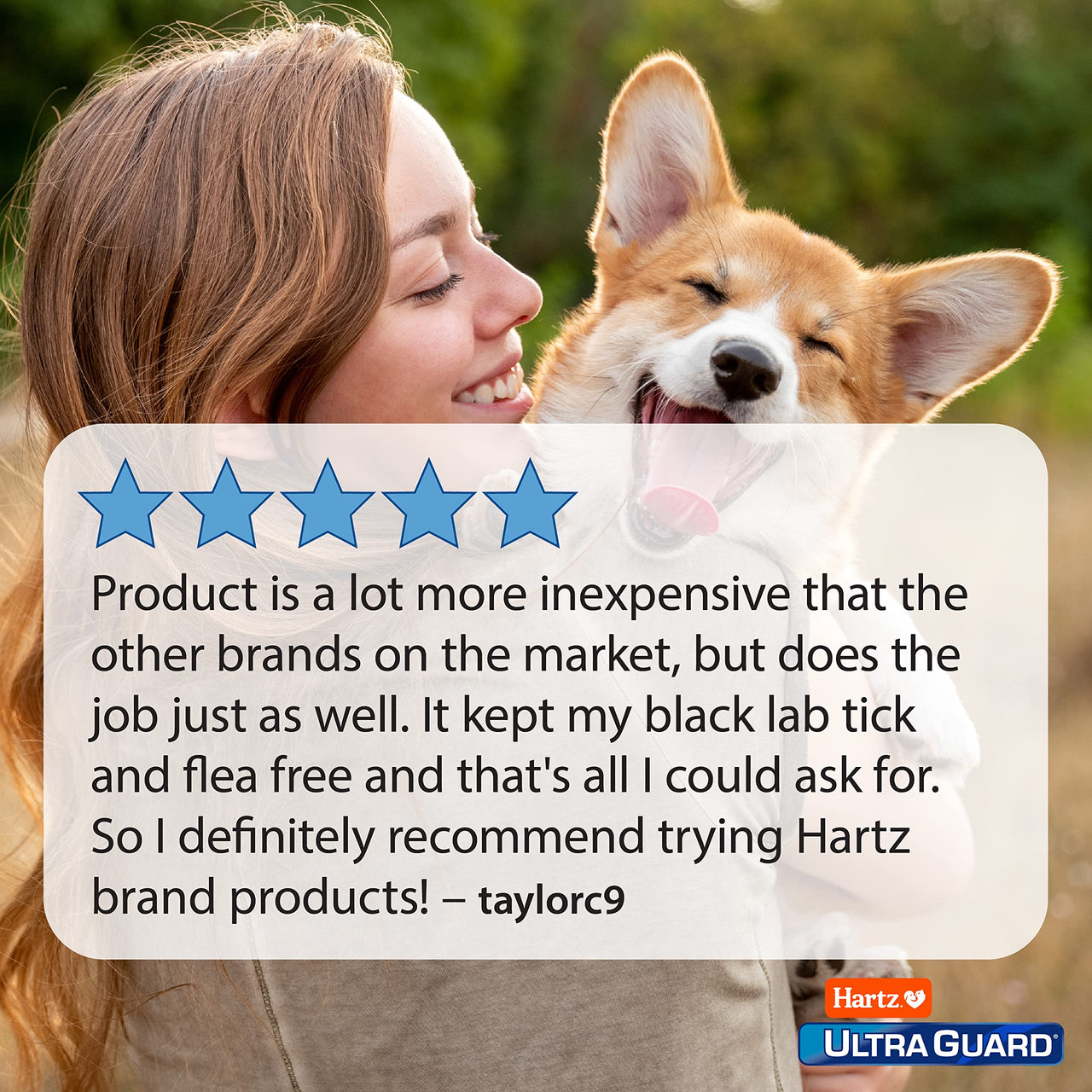 Hartz UltraGuard Dual Action Flea & Tick Topical Dogs & Puppies Treatment & Prevention, 6 Months, 60+ lbs