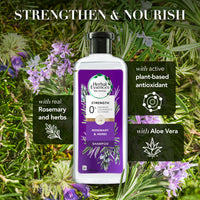 Herbal Essences bio:renew Rosemary and Herbs SHAMPOO, 400ml, No Parabens No Colourants