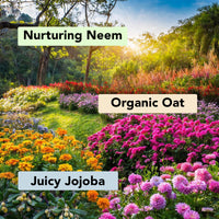 Botanic Hearth Body Wash Set of 3 – Jojoba, Oat & Neem | Soothing & Exfoliating Shower Gel with Niacinamide & Salicylic Acid | Deep Cleansing & Hydrating | For All Skin Types | 118ml Each