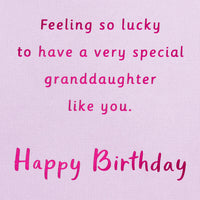 American Greetings Birthday Card for Granddaughter (Feeling So Lucky) Sprinkle Donut Photo