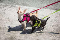 RC Pet Products Cirque Soft Walking Step-in Dog Harness, XX-Small, Tan Tartan
