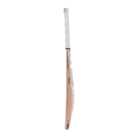 SG IK Xtreme English Willow Cricket Bat (Ishan Kishan Series), Short Handle