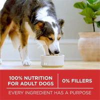 Purina ONE Smartblend Natural Lamb and Rice, Adult Dry Dog Food, 44 Lbs.