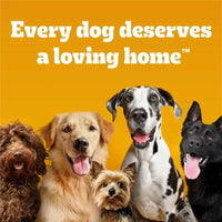Pedigree Variety Pack, Choice Cuts in Gravy Adult Wet Dog Food, 3.5 Oz., 54 Ct.
