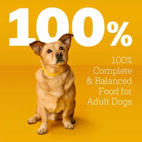 Pedigree Variety Pack, Choice Cuts in Gravy Adult Wet Dog Food, 3.5 Oz., 54 Ct.