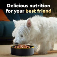 Cesar Variety Pack, Classic Loaf in Sauce Wet Dog Food, 3.5 Oz., 48 Ct.