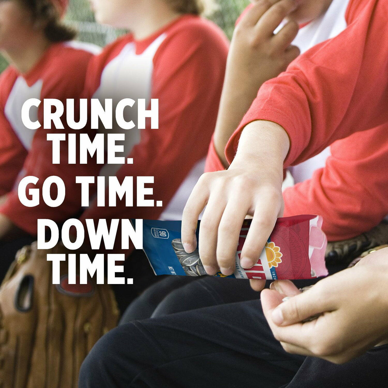 David Jumbo Sunflower Seeds, 5.25 oz., 12 pk.