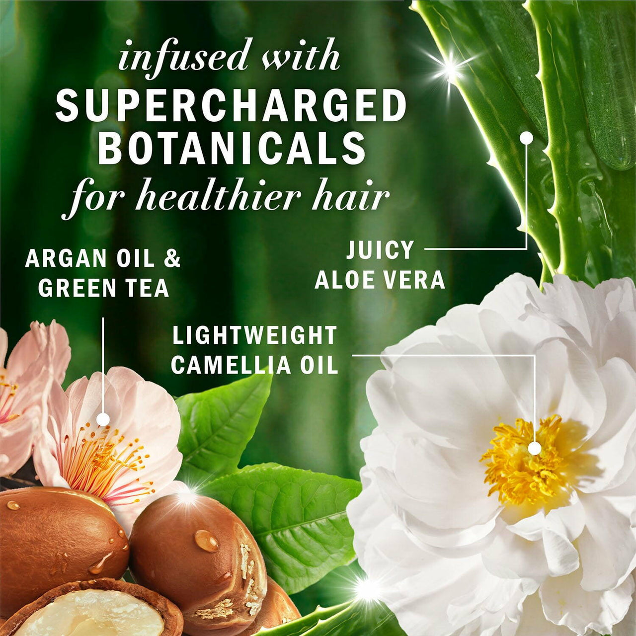 Herbal Essences Argan Oil & Green Tea Shampoo, 33.8 fl. oz.