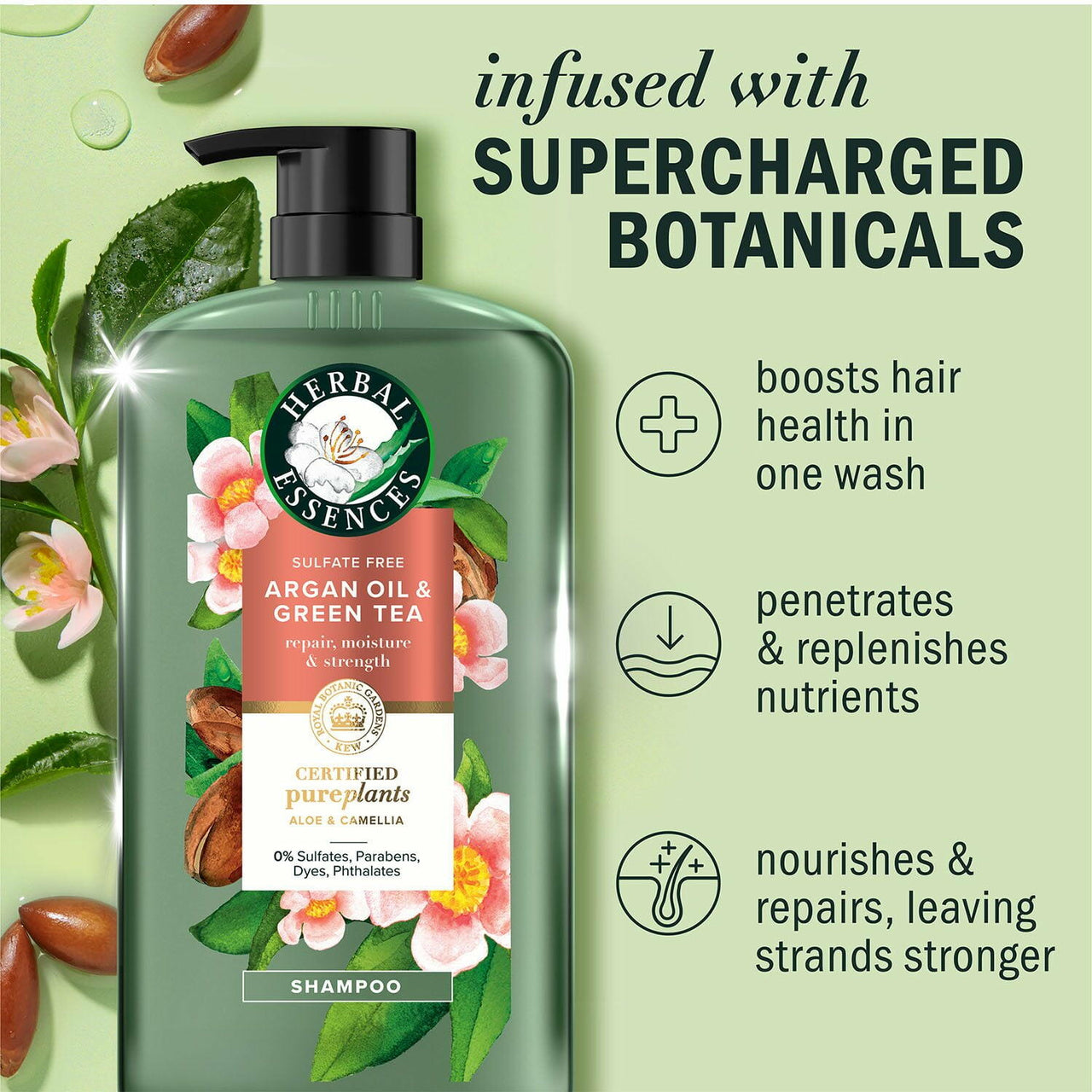 Herbal Essences Argan Oil & Green Tea Shampoo, 33.8 fl. oz.