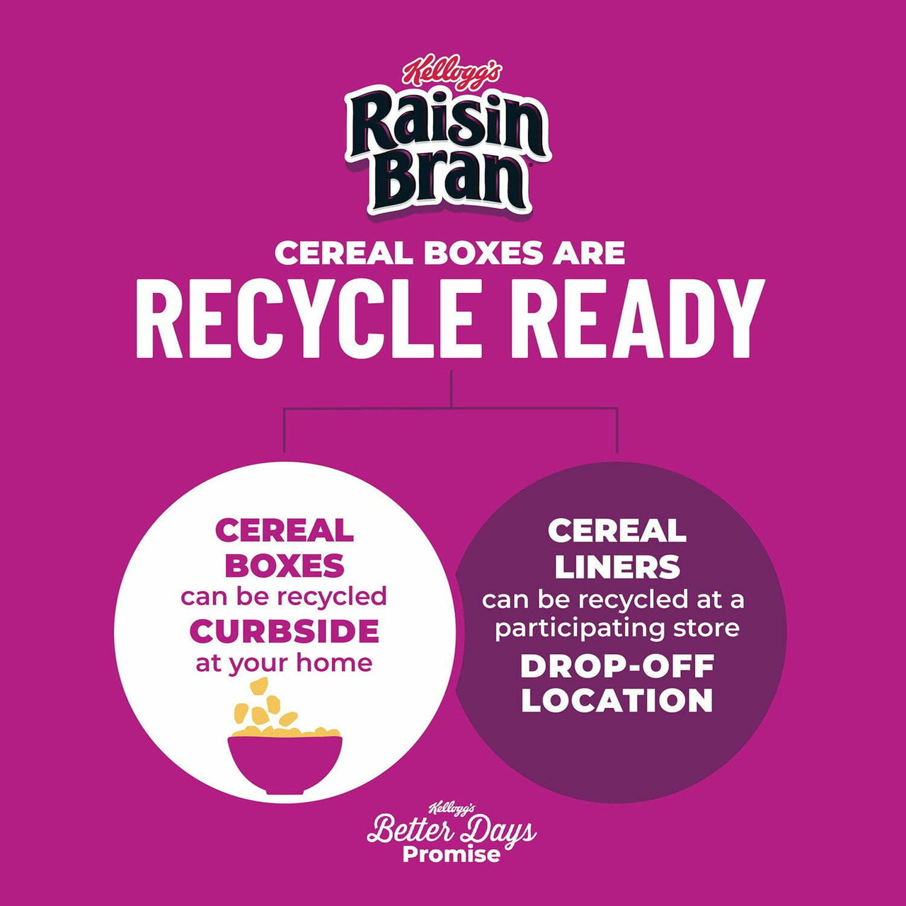 Raisin Bran Cereal, 76.5 oz.