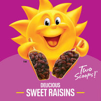Raisin Bran Cereal, 76.5 oz.