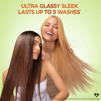 Garnier Fructis Sleek & Shine Shampoo & Conditioner, 40 fl. oz., 2 pk.