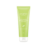 Dot & Key Cica Calming Blemish Clearing Face Wash | Non- Comedogenic, Sulphate & Paraben Free Face Cleanser for Acne & Pimples | With Cica, Green Tea & 1% Salicylic Acid for Acne Prone Skin | 120ml