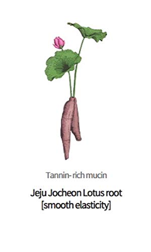 innisfree Jeju root energy mask(lotus root)25m