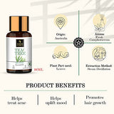 Good Vibes Essential Oils Combo Kit (Tea Tree 10ml + Rosemary 10ml)