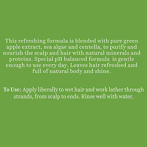 Biotique Green Apple Shine & Gloss Shampoo & Conditioner For Glossy Healthy Hair, 340 ml