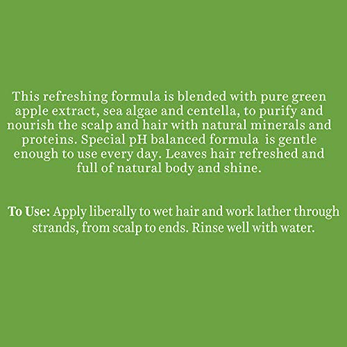 Biotique Green Apple Shine & Gloss Shampoo & Conditioner For Glossy Healthy Hair, 340 ml