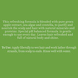 Biotique Green Apple Shine & Gloss Shampoo & Conditioner For Glossy Healthy Hair, 340 ml