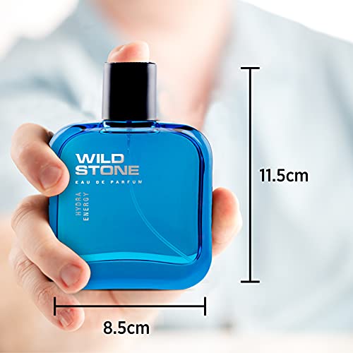 Wild Stone Hydra Energy Eau De Perfume for Men, 100ml