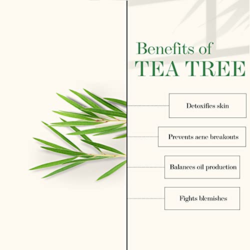 Good Vibes Tea Tree Skin Cleansing Toner 120 ml, Hydrating Light Weight Anti Acne Moisturizing Face Toner for All Skin Types, Natural, No Alcohol, Parabens & Sulphates, No Animal Testing